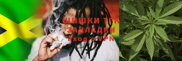 стафф Майский