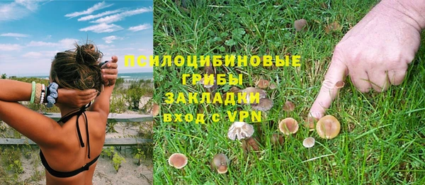 скорость Алексеевка