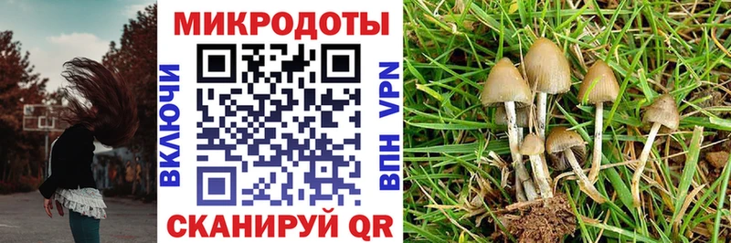 omg маркетплейс Нефтекамск Псилоцибиновые грибы Magic Shrooms
