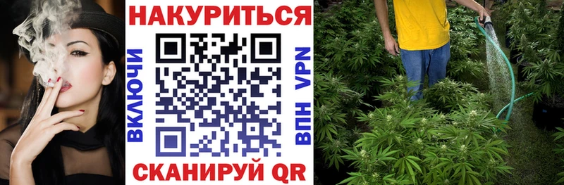 Бошки марихуана сатива где купить Нефтекамск